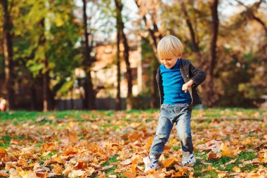 Mutlu küçük çocuk sonbahar parkında eğleniyor. Çocuk şık bir ceket, Jenna ve şık bir spor ayakkabı giyiyor.