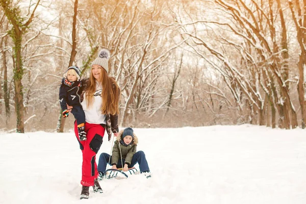 Feliz madre y los niños se divierten con trineo en el parque de invierno. Concepto familiar. Vacaciones de invierno — Foto de Stock