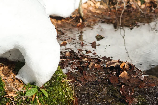 Tempo primaverile con ghiaccio galleggiante nella foresta. Paesaggio primaverile con erba e scongelati — Foto Stock
