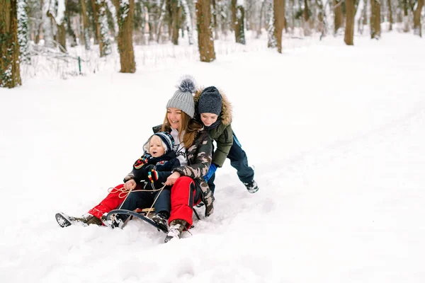 Boldog család szánkó vezetés a hóban. Anya és a gyerekek jól érzik magukat télen. Boldog téli ünnepeket! — Stock Fotó