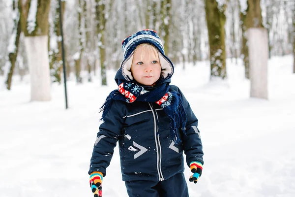 Cute little boy in winter park. Child wears warm jacket, knitted hat, scarf and gloves. Toddler boy on a walk in snowy winter weather — Stock Photo, Image