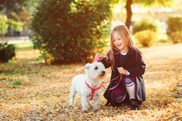 Belle petite fille marchant avec un chien en laisse en automne. Meilleurs amis, amitié. Enfant heureux avec animal de compagnie en feuilles d'automne — Photo