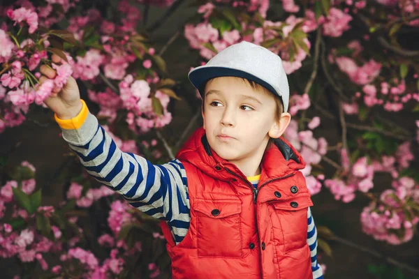 Guapo chico elegante posando sobre sakura fondo floreciente. Pequeño niño usar ropa elegante al aire libre en primavera . — Foto de Stock