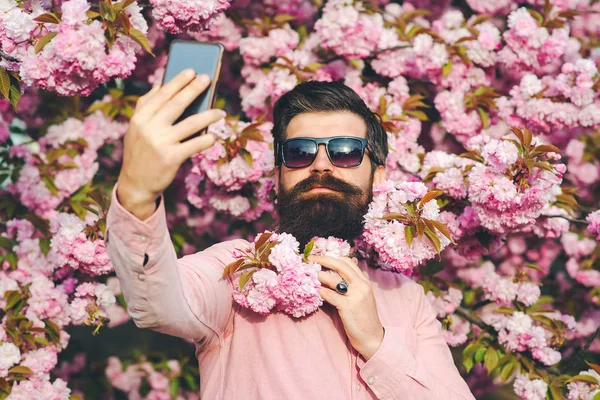 Man making selfie with mobile phone. Spring day. Spring pink sakura blossom. Spring pink blossom. Spring flowers. Springtime. Bearded stylish man. Bearded man wears pink shirt.