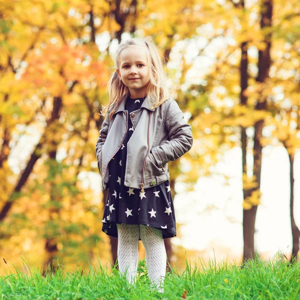 Porträt Eines Entzückenden Mädchens Bei Einem Spaziergang Herbstpark Herbstzeit Mode — Stockfoto