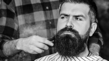 Kendine güveni tam bir kuaför. Berber dükkanı. Sakallı hippi yeni saç stili yaptırıyor. Berberden insana sakal kırpma. Müşteriye hizmet eden erkek kuaför. Erkek tıraşı. Klasik berber, tıraş..