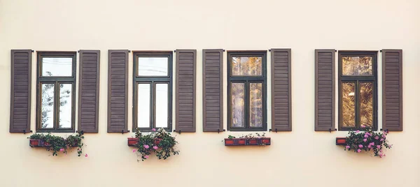 Vintage facade of typical european building. Retro windows with flowers. Window box flower arrangement. House facade.