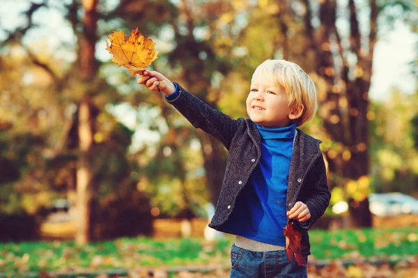 Netter Kleiner Junge Der Draußen Mit Ahornblättern Spielt Glückliches Kind — Stockfoto