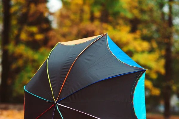 Bunter Regenschirm Über Herbstlichem Naturhintergrund Herbstwetter Natürlicher Verschwommener Hintergrund Schöne — Stockfoto