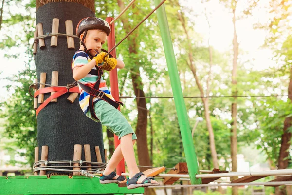 Kleiner Junge Der Die Seilbahn Hoch Unter Bäumen Passiert Klettern — Stockfoto