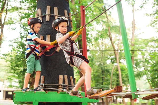 Kinder Passieren Die Seilbahn Hoch Oben Zwischen Bäumen Junge Brüder — Stockfoto