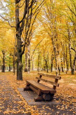 Sarı ve yeşil ağaçları arasında sonbahar parkta bir bankta