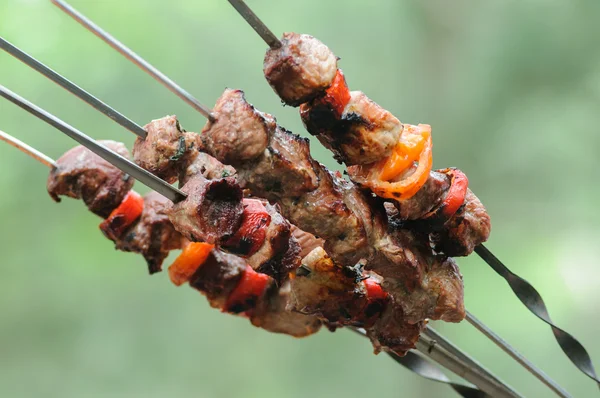 Ready meat and vegetables a shish kebab grilled over charcoal — Stock Photo, Image