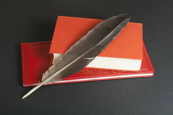 Kırmızı kitap ve siyah arka plan üzerine tüy kalem. Eğitim kavramı. — Stok fotoğraf