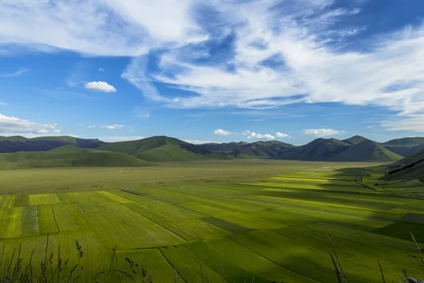 Famous mountain village of Castelluccio di Norcia with beautiful summer landscape at Piano Grande (Great Plain) mountain plateau in the Apennine Mountains on a sunny day, Umbria, Italy — Stock Photo, Image