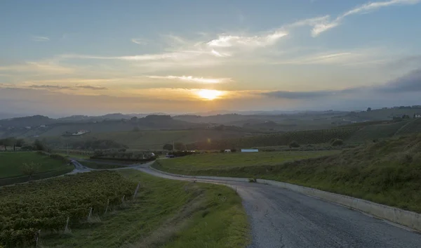 Hermoso atardecer sobre viñedos en Monteprandone, Italia —  Fotos de Stock