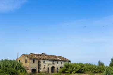 Tavan deliği olan eski terk edilmiş çiftlik