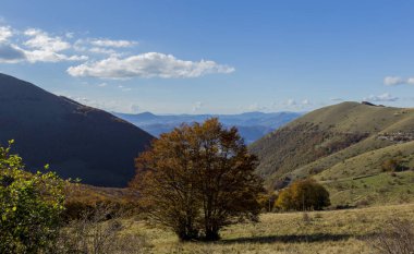 Sonbahar, sonbahar manzara ağaçlar tam renkli, düşen yapraklar, güneşli mavi gökyüzü ile