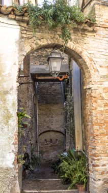 romantik görünümünden bir ara sokağa bitkileri ile