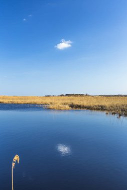 Yaz aylarında sessiz ve sakin göl ve gökyüzü yansımaları, akşam erken
