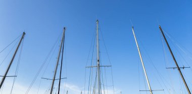 Yelkenli tekne ağaçların güzel mavi gökyüzü altında