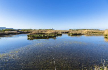 Yaz aylarında sessiz ve sakin göl ve gökyüzü yansımaları, akşam erken
