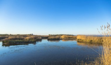 Yaz aylarında sessiz ve sakin göl ve gökyüzü yansımaları, akşam erken
