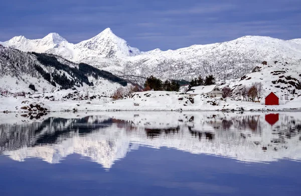 Storfjorden 冬天的几点思考 — 图库照片