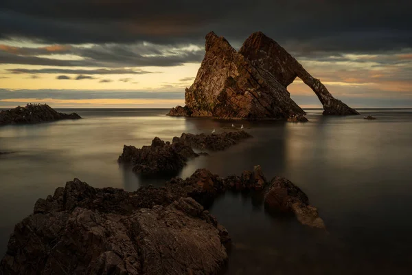 Côte de Fiddle Rock — Photo