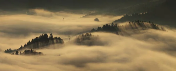 细小的山雾 — 图库照片
