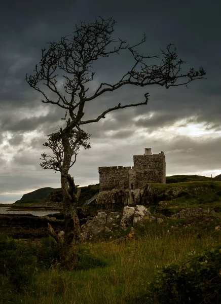 Castillo Mingary Tiempo Tormentoso Con Árbol Escocés Escocia —  Fotos de Stock