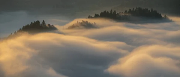 Panorama Nevoeiro Nas Montanhas Pieniny Luz Nascer Sol Polônia — Fotografia de Stock