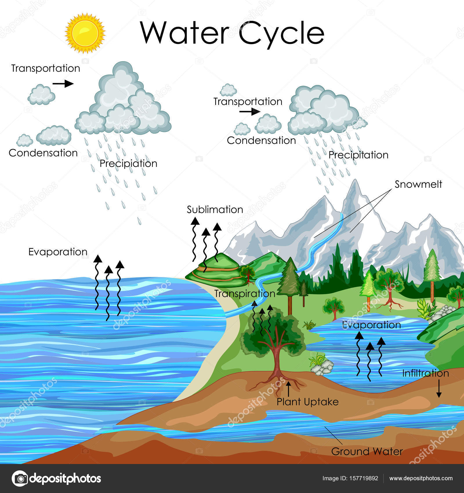 Images  Water Cycle Chart