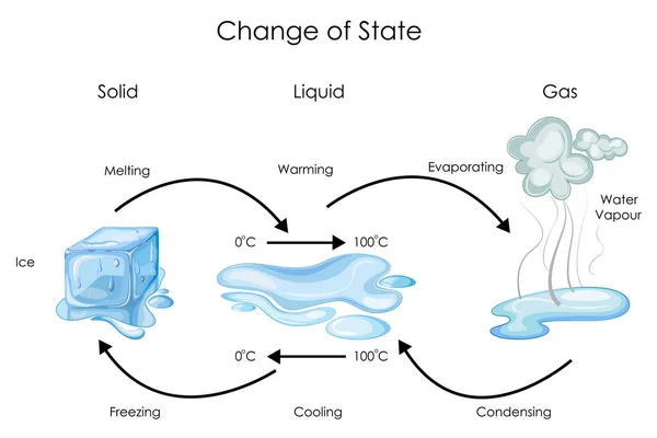 Wykresu edukacji biologii dla zmiany stanu wody diagramu — Wektor stockowy