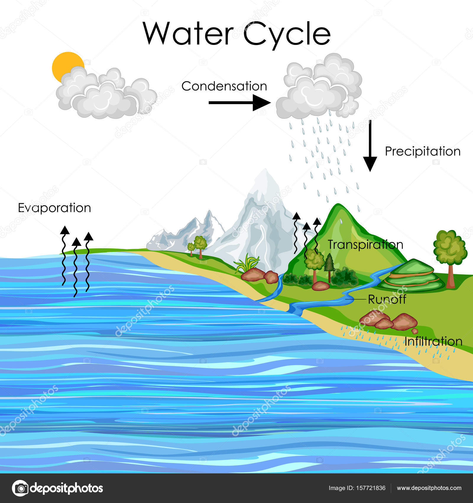 The Elementary Water Cycle – Hanford Mills Museum