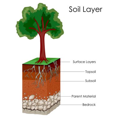 Education Chart of Science for Layers of Soil Diagram clipart