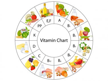 Eğitim grafik Biyoloji için Vitamin Gıda grafik diyagramı