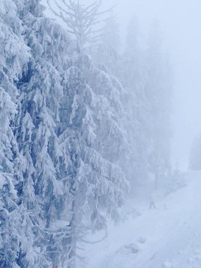 büyülü bir orman yapılan dağlarda süsleyin