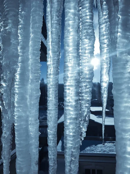 Mattina nevosa al sole in inverno — Foto Stock