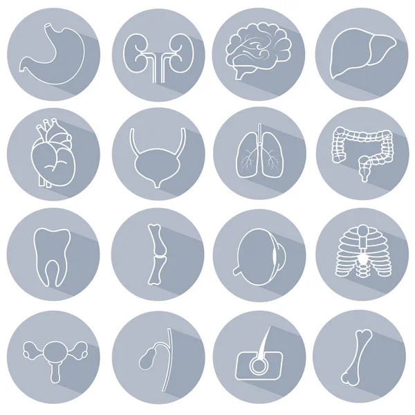 Set of icons on a medical theme — Stock Vector