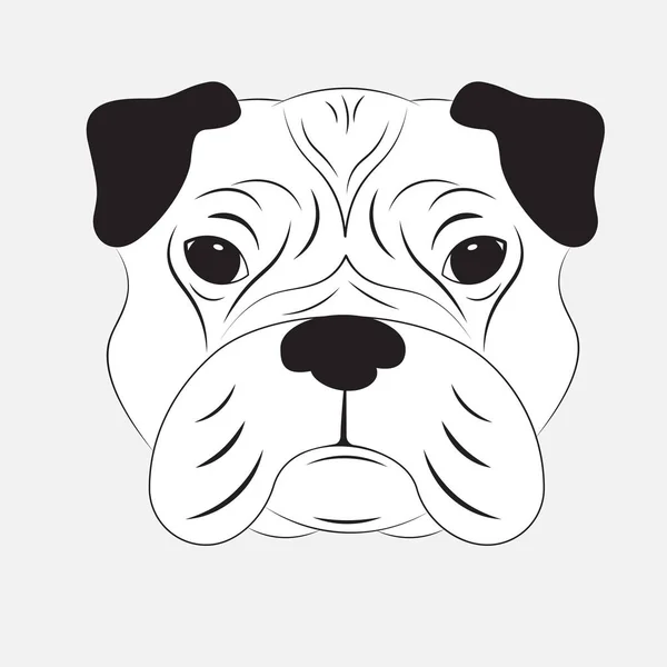 Cabeza de perro sobre fondo blanco — Vector de stock