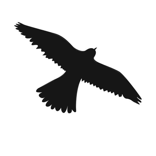 Adler-Symbol schwarze Farbe auf weißem Hintergrund. — Stockvektor