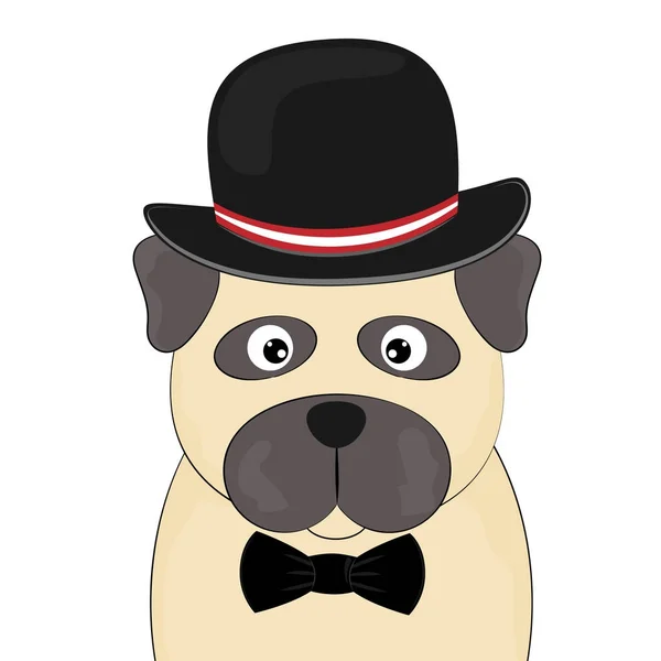 Perro retrato Pug en sombrero aislado fondo blanco . — Vector de stock