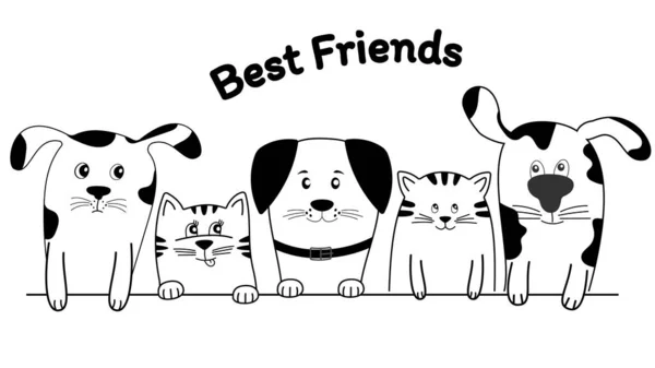 Face Cats Dogs Best Friends Face Cats Dogs Best Friends — Stock Vector