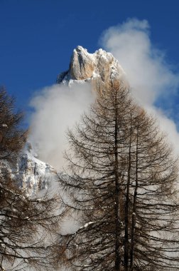 Dolomites Alpler, South Tyrol, İtalya. Grup San Martino CIMON della Pala veya Cimone soluk di bulutlarda ile.