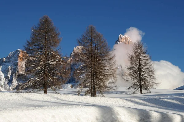 Dolomites Alps, Tirol do Sul, Itália. Cimon della Pala ou Cimone com nuvens no Grupo Pale di San Martino . — Fotografia de Stock