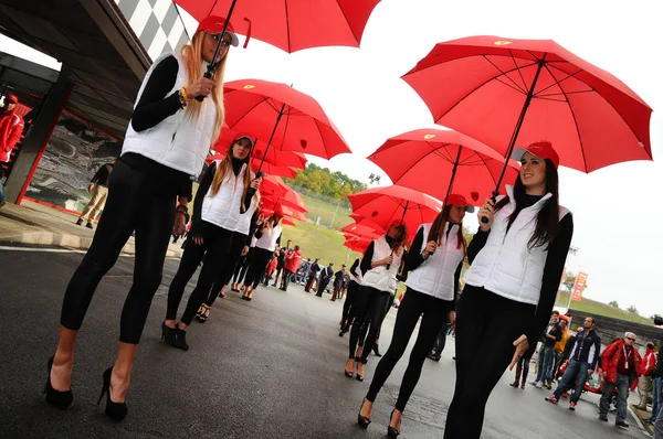 Mugello, bu Kasım 2011: Tanımlanamayan Pit Babe için padok fotoğraflarda Finali Mondiali Ferrari 2011 Mugello İtalya devre sırasında poz veriyor