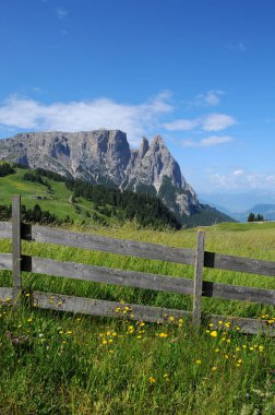 Sciliar/Schlern, görüldüğü gibi Alpe di Siusi, Seiser Alm, Dolomites, Trentino, Bolzano, Alto Adige, South Tyrol, İtalya.