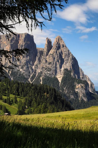Sciliar/Schlern, jak widać z Alpe di Siusi, Seiser Alm, Dolomity, Trentino, Bolzano, Alto Adige, regionie Południowy Tyrol, Włochy. — Zdjęcie stockowe