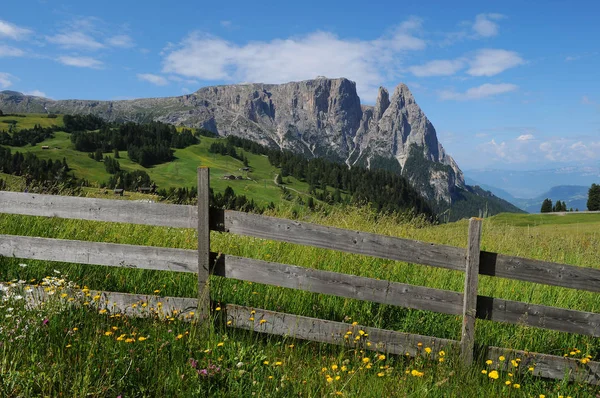 Sciliar/Schlern, as seen from Alpe di Siusi, Seiser Alm, Dolomites, Trentino, Bolzano, Alto-Adige, South Tyrol, Italy. — Stock Photo, Image